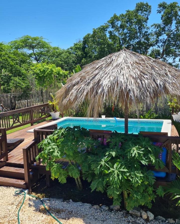 Azteca Villas Treasure Beach Extérieur photo